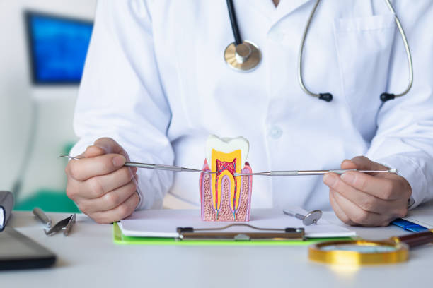 Best Dental Abscess Treatment in West Falls Church, VA